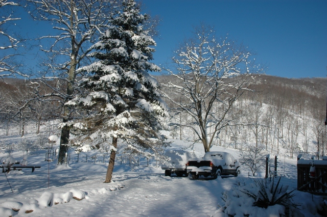 Snow 2012 – We Got Some – Time to Plow Now!!