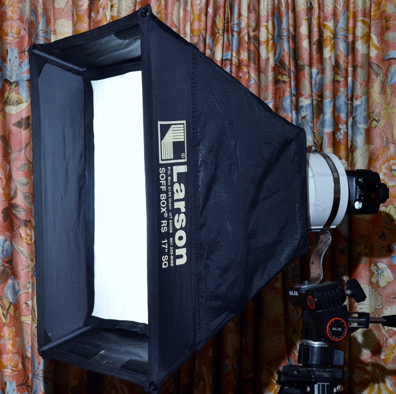 DIY: How To Mount Speedlight To A Softbox